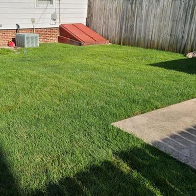 Lawn renovation before work by Platinum Lawn and Landscape in Springfield IL.